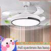 Ceiling fan with light