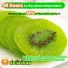 Kiwi fruit dried slices canister-Canned green kiwifruit