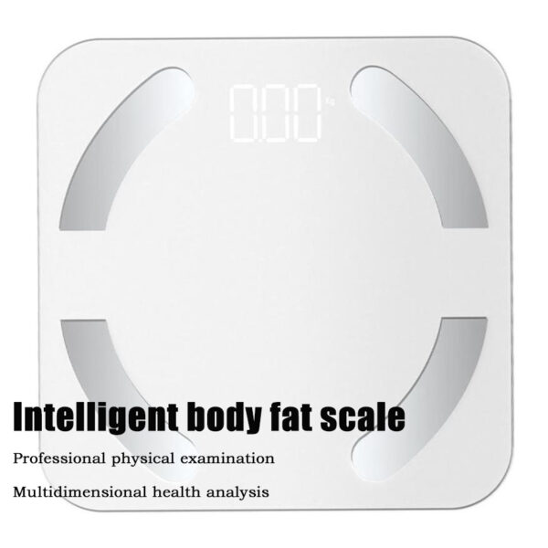 Body fat scale