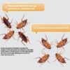 Household powerful cockroach medicine - Image 4
