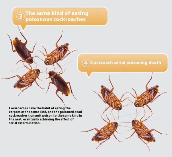 Household powerful cockroach medicine - Image 4